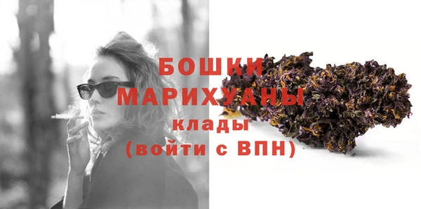 соль ск Дмитровск