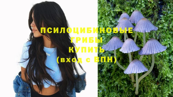 герыч Дмитриев