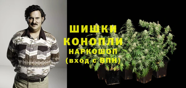 соль ск Дмитровск