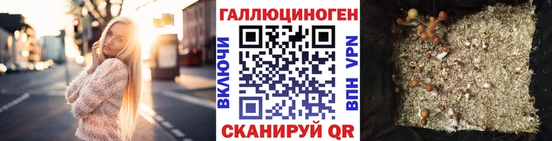 Галлюциногенные грибы мухоморы  купить наркоту  Мураши 